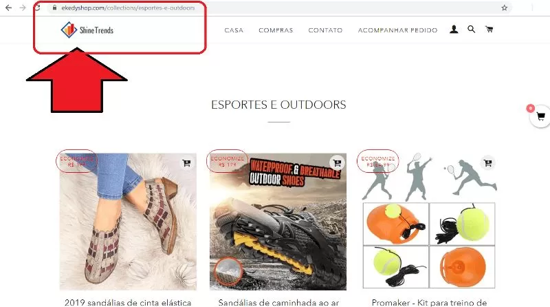 Shine-Trends