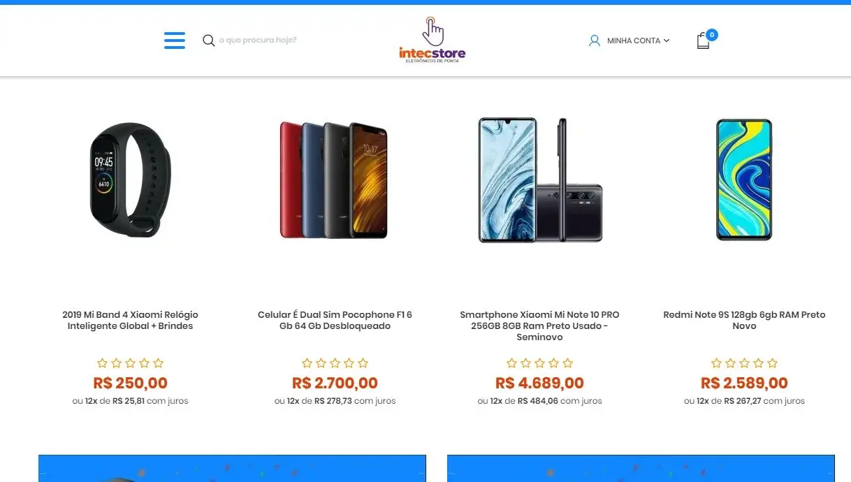 intecstore