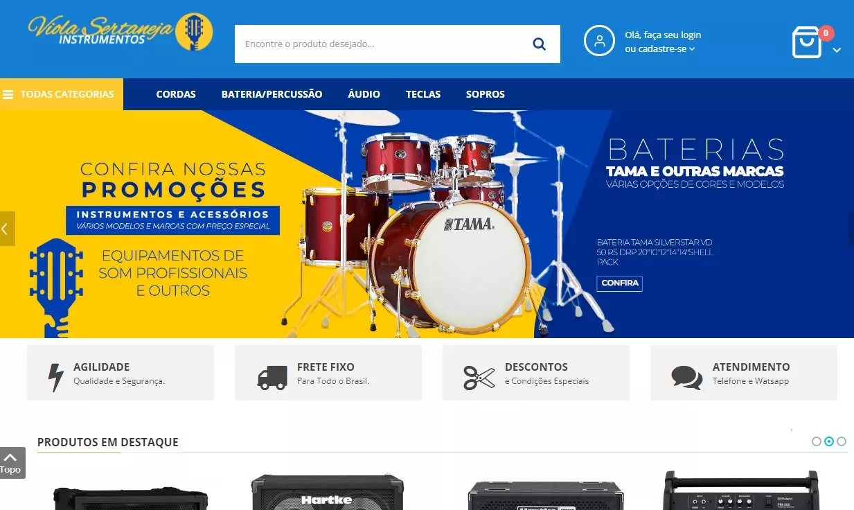 violasertanejainstrumentos