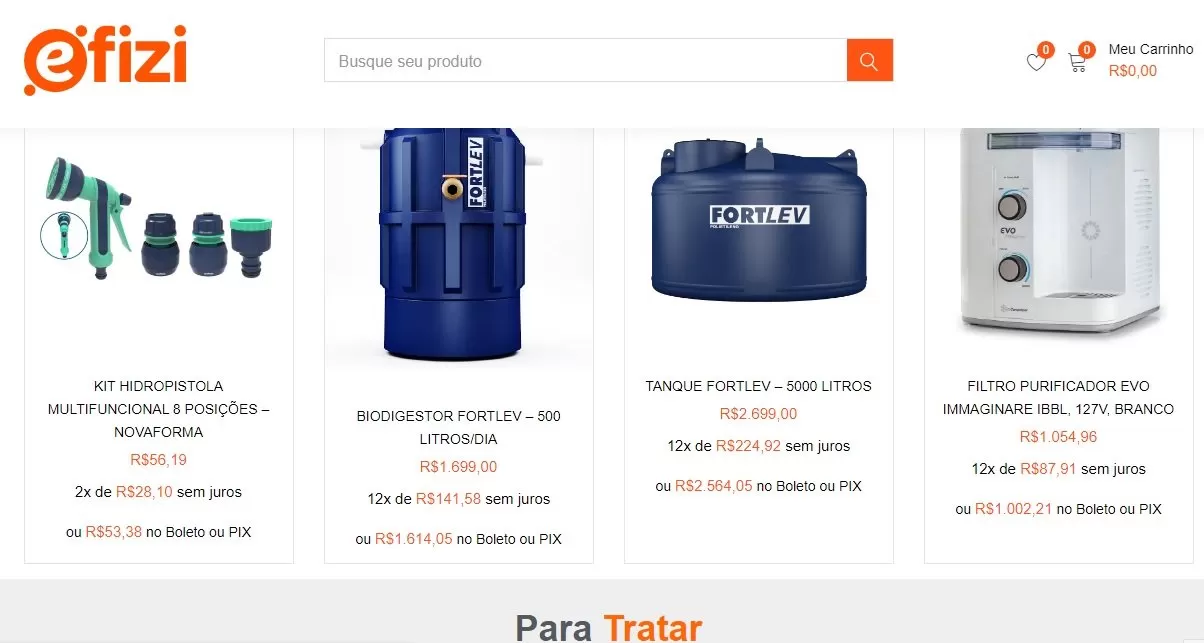 efizi